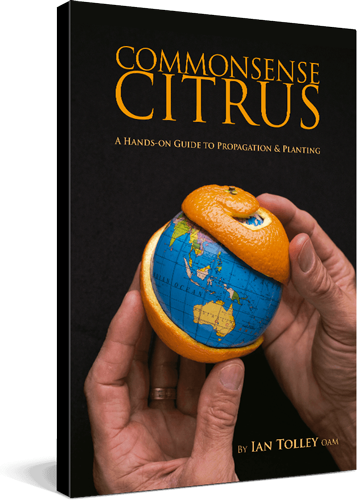 02-book-commonsense-citrus